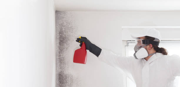 Best Crawl Space Mold Removal  in Five Points, FL